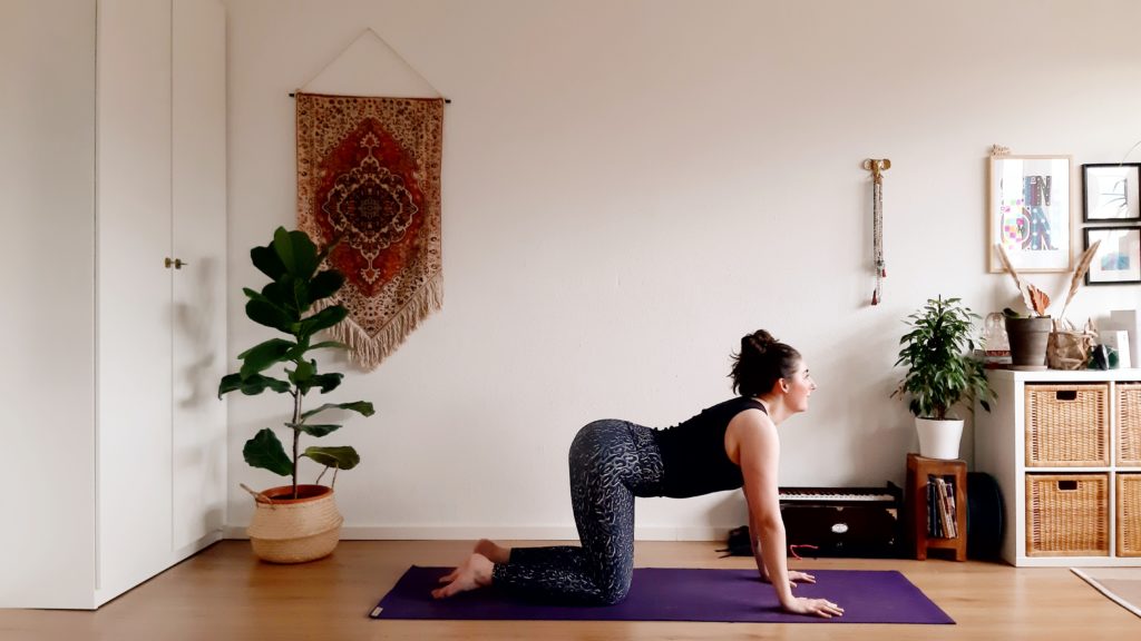 yoga-kuh-rücken